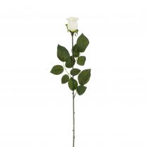 Cvetje umetno Mica vrtnica Venus bež 64 cm, Edel.